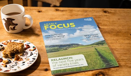 Front cover of the AHDB Arable Focus magazine